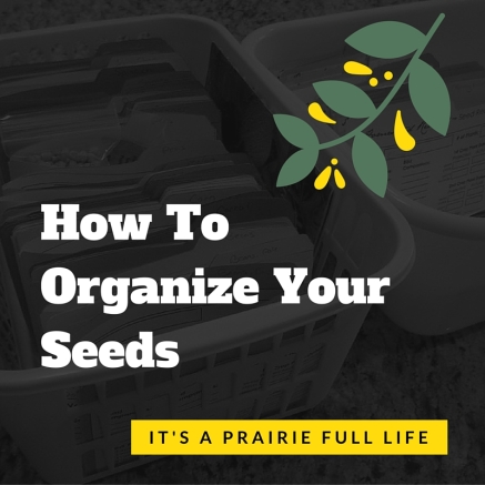 Graphic that says How to Organize Your Seeds